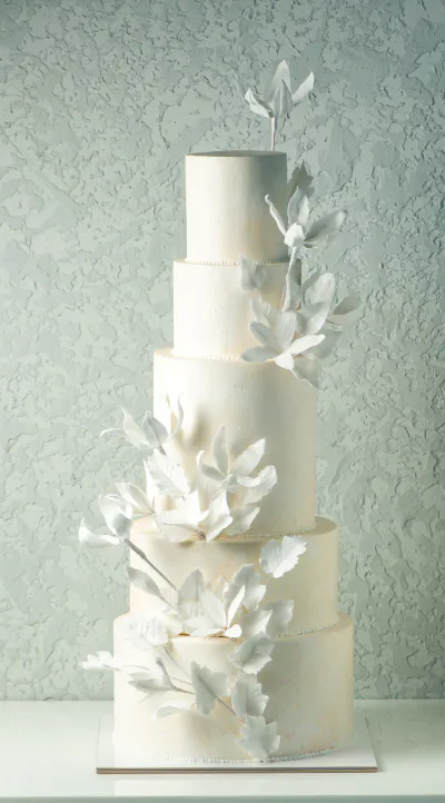 Wedding Cake 5 (21kg)